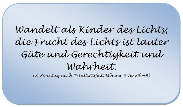 Spruch_KW31_2026.png